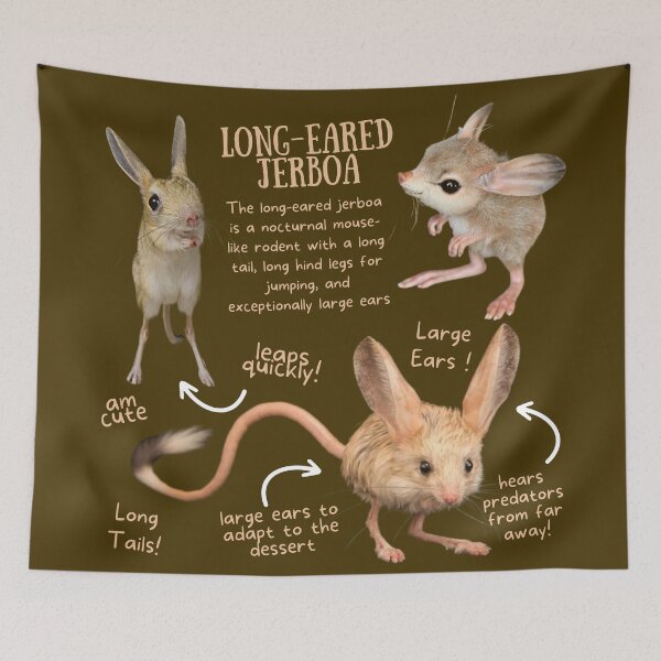 Item preview, Long-Eared Jerboa Fun Facts designed and sold by KyleNesas.