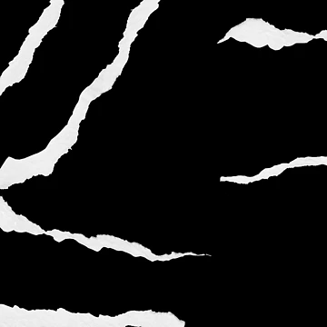 Artwork thumbnail, White Rips by Enid Guinn
