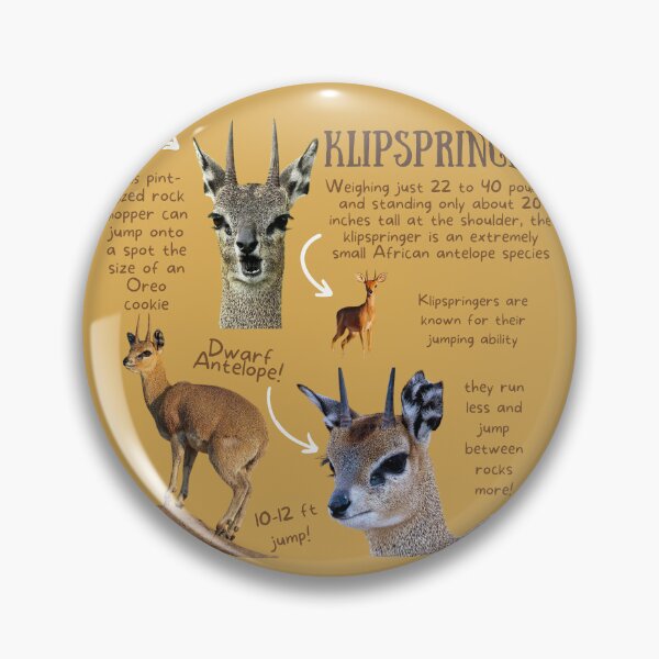 Item preview, Klipspringer Fun Facts designed and sold by KyleNesas.