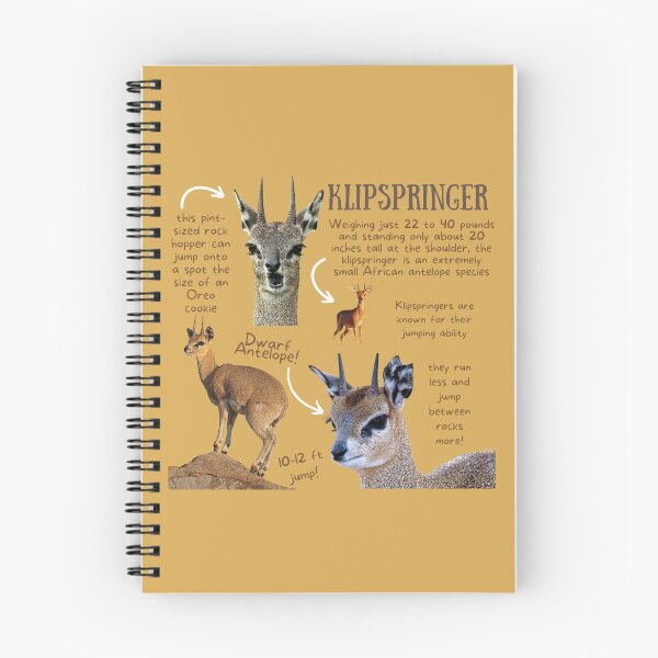 Item preview, Klipspringer Fun Facts designed and sold by KyleNesas.