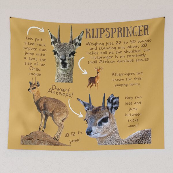 Item preview, Klipspringer Fun Facts designed and sold by KyleNesas.