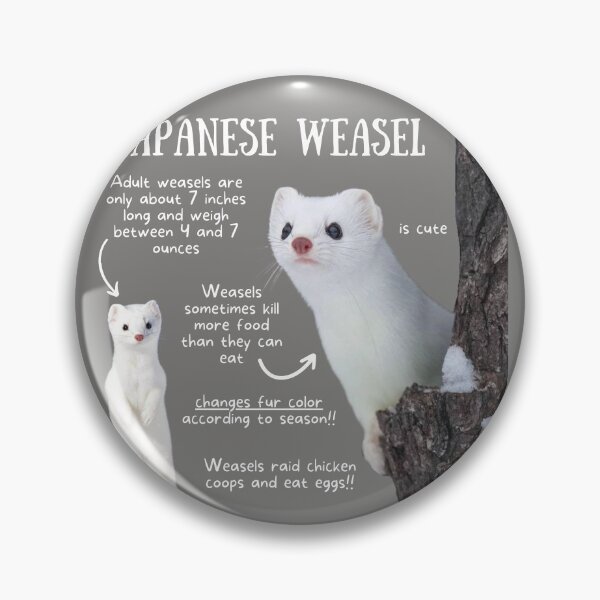 Item preview, Japanese Weasel Fun Facts designed and sold by KyleNesas.