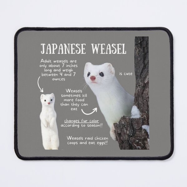 Item preview, Japanese Weasel Fun Facts designed and sold by KyleNesas.