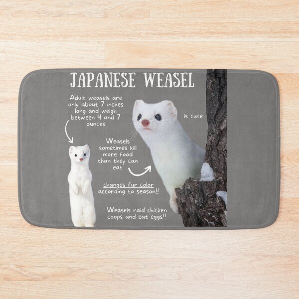 Item preview, Japanese Weasel Fun Facts designed and sold by KyleNesas.