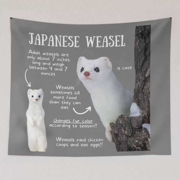 Item preview, Japanese Weasel Fun Facts designed and sold by KyleNesas.