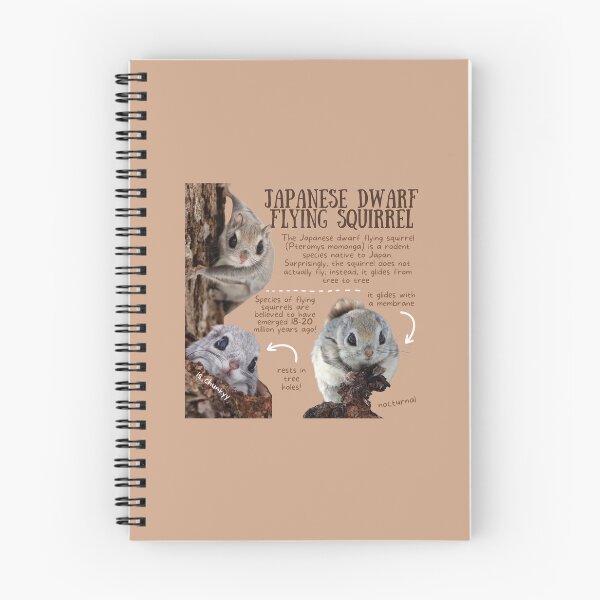 Item preview, Japanese Dwarf Flying Squirrel Fun Facts designed and sold by KyleNesas.