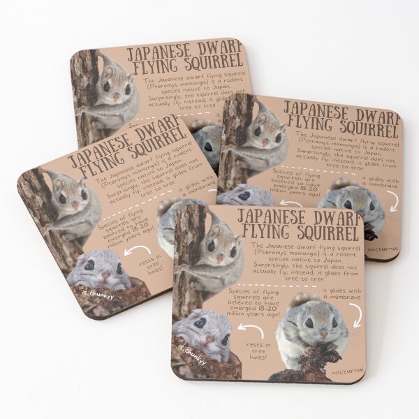 Item preview, Japanese Dwarf Flying Squirrel Fun Facts designed and sold by KyleNesas.