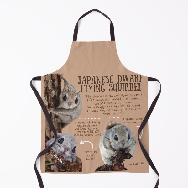 Item preview, Japanese Dwarf Flying Squirrel Fun Facts designed and sold by KyleNesas.