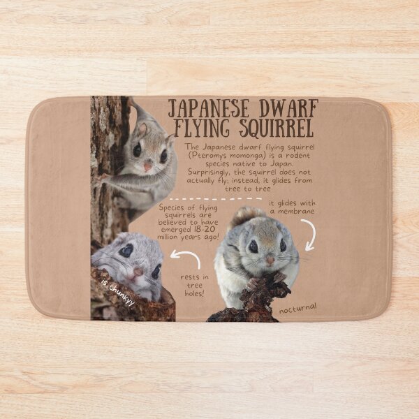 Item preview, Japanese Dwarf Flying Squirrel Fun Facts designed and sold by KyleNesas.