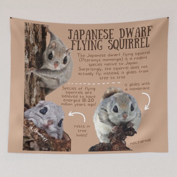 Item preview, Japanese Dwarf Flying Squirrel Fun Facts designed and sold by KyleNesas.