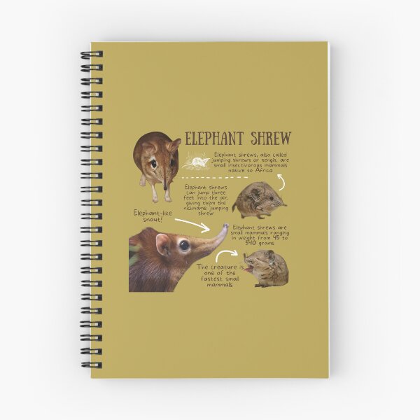 Item preview, Elephant Shrew Fun Facts designed and sold by KyleNesas.