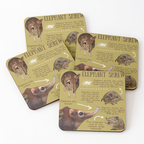 Item preview, Elephant Shrew Fun Facts designed and sold by KyleNesas.