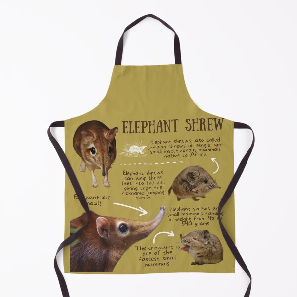 Item preview, Elephant Shrew Fun Facts designed and sold by KyleNesas.