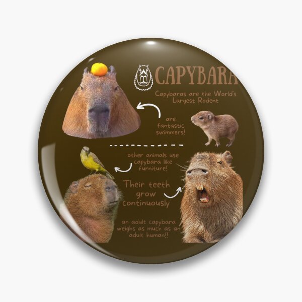 Item preview, Capybara Fun Facts designed and sold by KyleNesas.