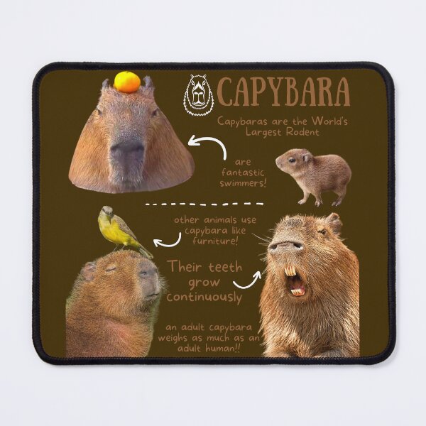 Item preview, Capybara Fun Facts designed and sold by KyleNesas.