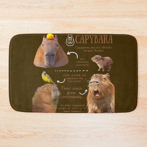 Item preview, Capybara Fun Facts designed and sold by KyleNesas.
