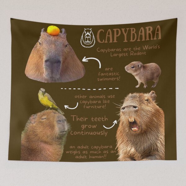 Item preview, Capybara Fun Facts designed and sold by KyleNesas.