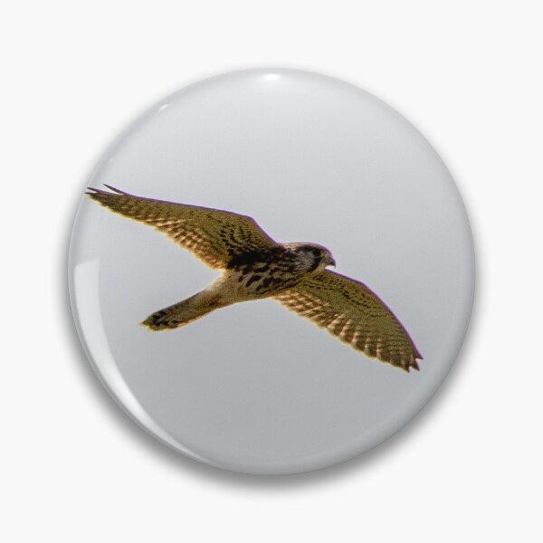Item preview, Kestrel in flight designed and sold by LaHickmana.