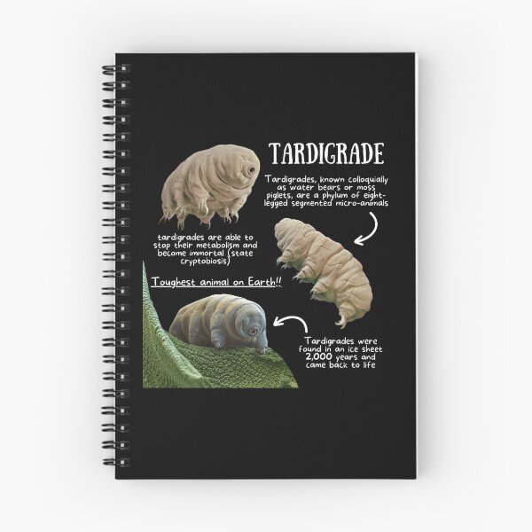 Item preview, Tardigrade Fun Facts designed and sold by KyleNesas.