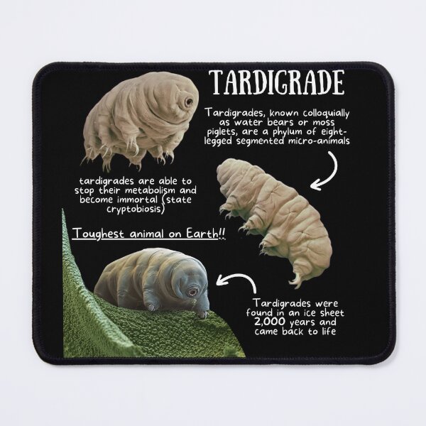 Item preview, Tardigrade Fun Facts designed and sold by KyleNesas.