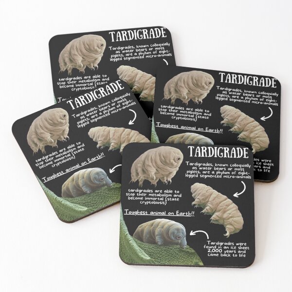 Item preview, Tardigrade Fun Facts designed and sold by KyleNesas.