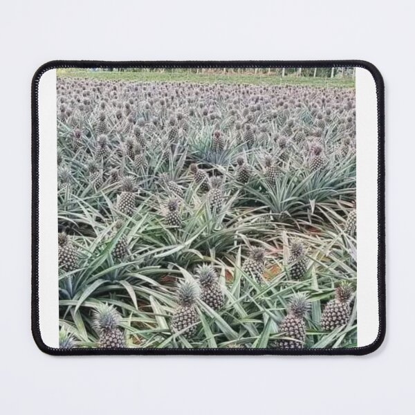 Item preview, Pineapple designed and sold by Saiamrita123.