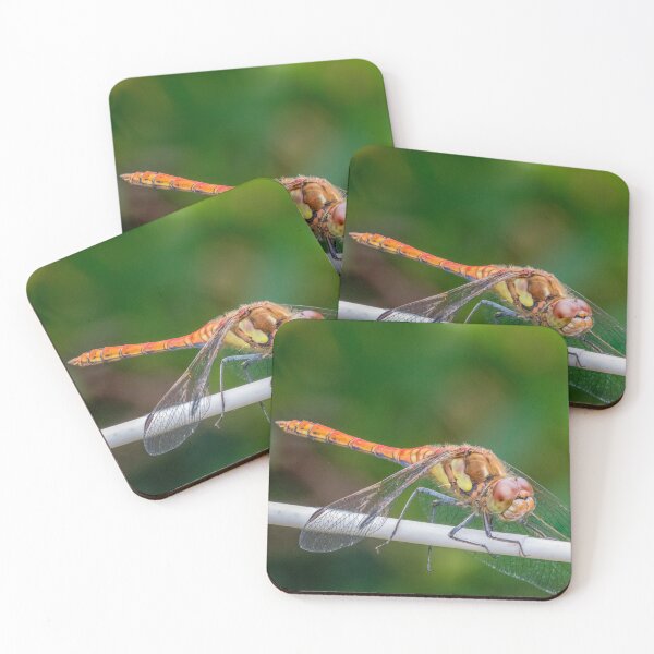 Item preview, Dragonfly designed and sold by LaHickmana.