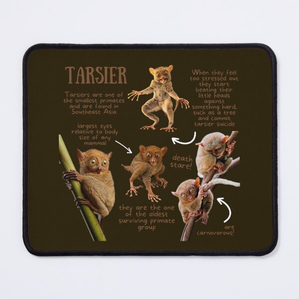 Item preview, Tarsier Fun Facts designed and sold by KyleNesas.