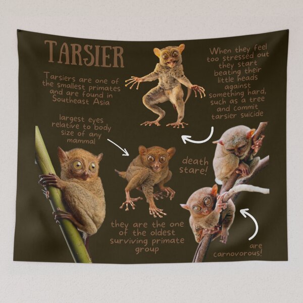 Item preview, Tarsier Fun Facts designed and sold by KyleNesas.