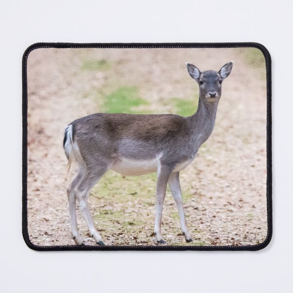 Item preview, Who Me? designed and sold by LaHickmana.
