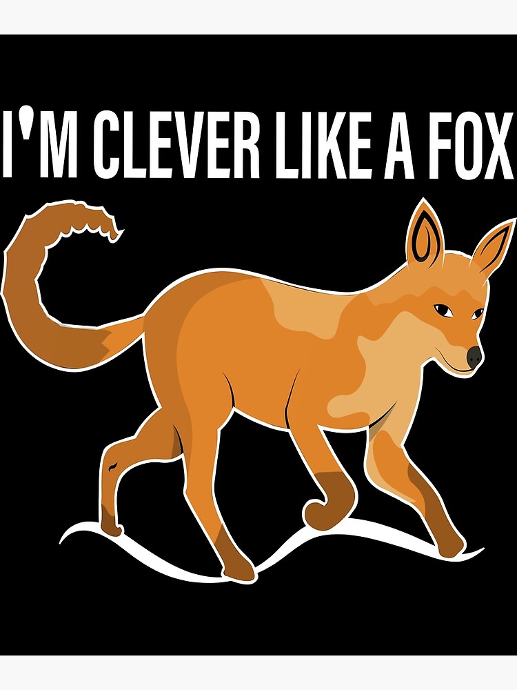 foxes-fox-family-stink-like-a-fox-smart-like-a-fox-red-mammal-animal