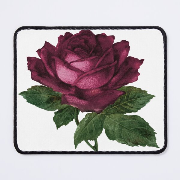 Item preview, Burgundy Rose - One Perfect Rose designed and sold by davidmurtagh.