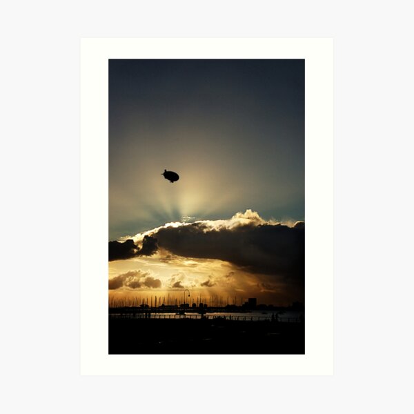 Free as ... Art Print