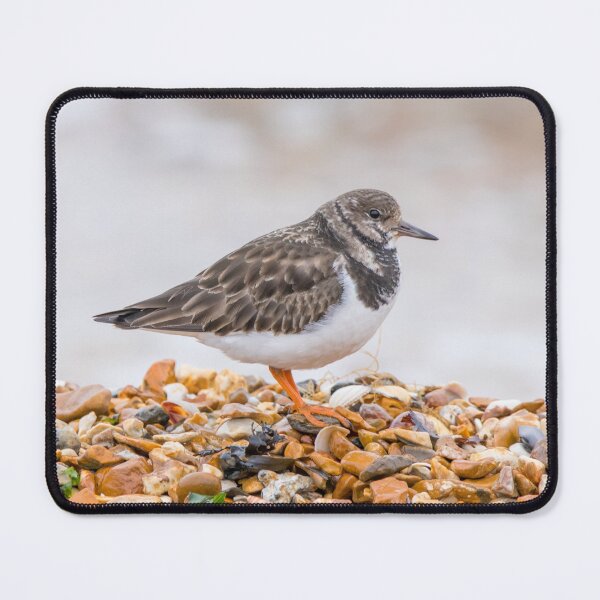 Item preview, Ruddy Turnstone designed and sold by LaHickmana.
