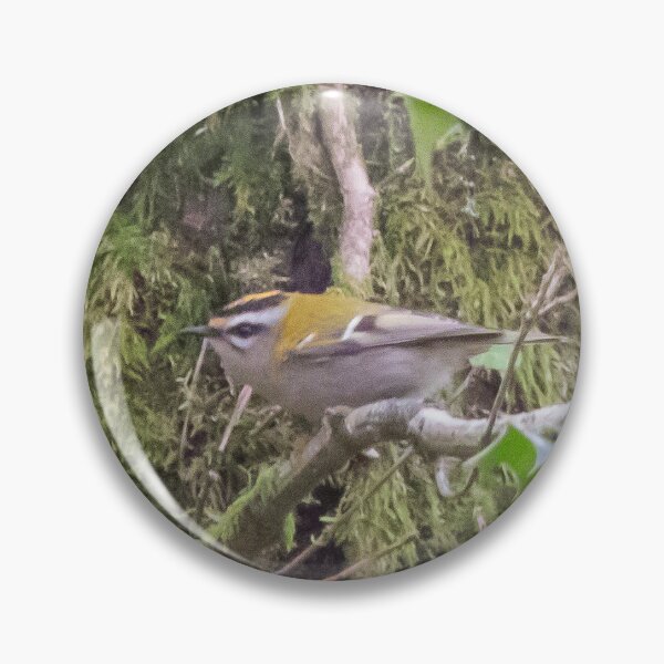 Item preview, Spot the Firecrest designed and sold by LaHickmana.