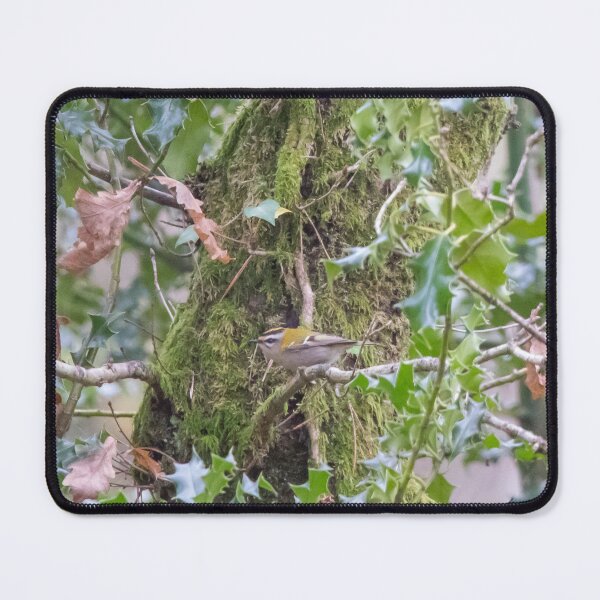 Item preview, Spot the Firecrest designed and sold by LaHickmana.