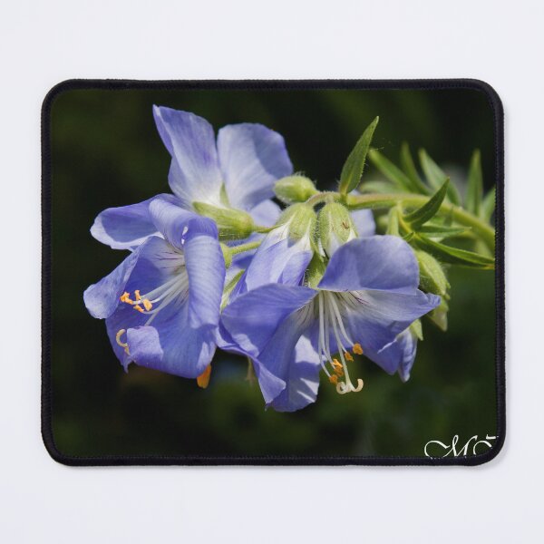Item preview, Jacob's Ladder designed and sold by maureen bracewell.