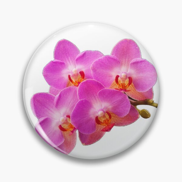 Item preview, Orchidae designed and sold by maureen bracewell.