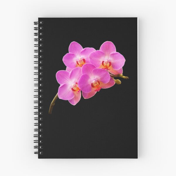 Item preview, Orchidae designed and sold by maureen bracewell.