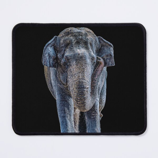 Item preview, Asian Elephant Photo Print designed and sold by Nils Petter Stein.