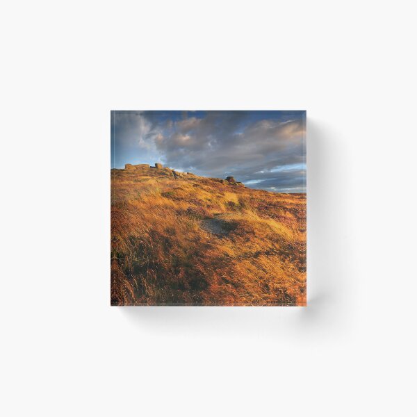 Item preview, Golden Grass designed and sold by Rob-Turner.