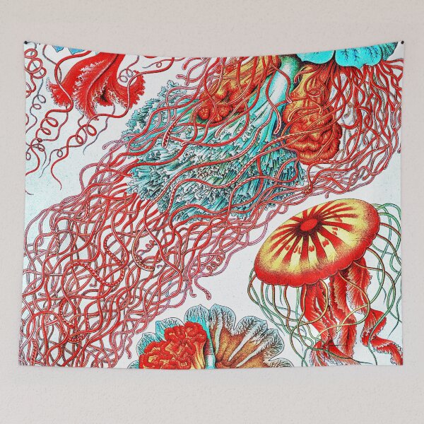 Artikelvorschau, Discomedusae-Scheibenquallen aus Kunstformen der Natur (1904) von Ernst Haeckel entworfen und verkauft von RyanCaudell.