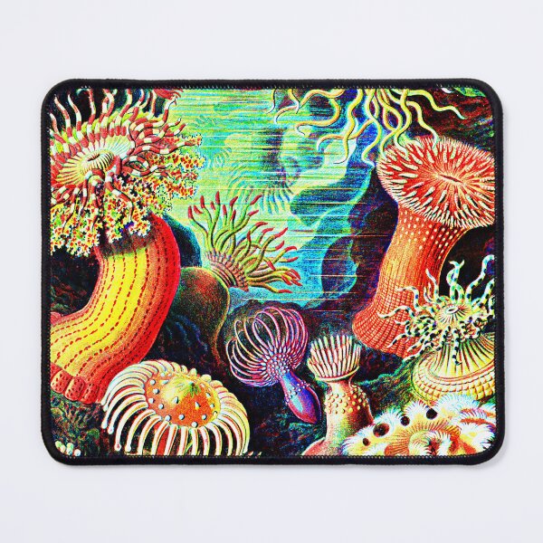 Item preview, Actiniae-Seeanemonen from Kunstformen der Natur (1904) by Ernst Haeckel designed and sold by RyanCaudell.