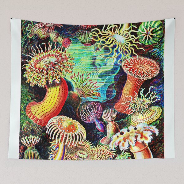 Item preview, Actiniae-Seeanemonen from Kunstformen der Natur (1904) by Ernst Haeckel designed and sold by RyanCaudell.