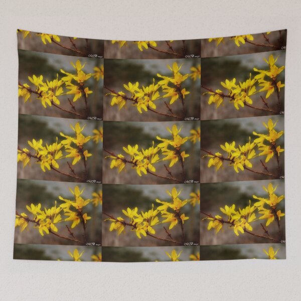 Item preview, Spring Flowering Forsythia designed and sold by maureen bracewell.
