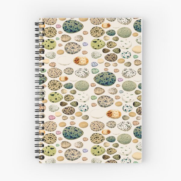 Item preview, Selection Of Vintage Bird Eggs Illustration Design designed and sold by TrulyEpoque.