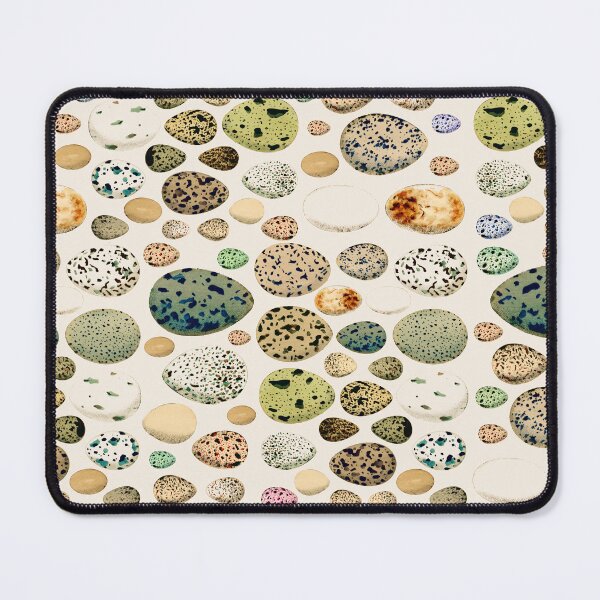 Item preview, Selection Of Vintage Bird Eggs Illustration Design designed and sold by TrulyEpoque.