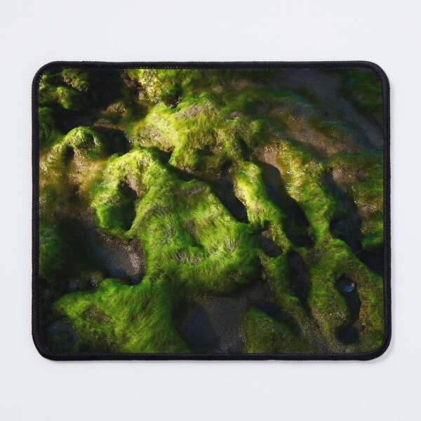 Item preview, Moss on Coral designed and sold by Kent Nickell.