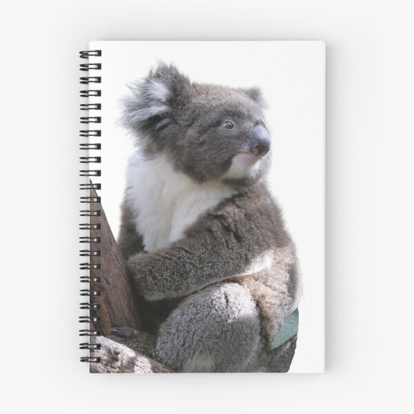 Item preview, Cute and Cuddly Koala   designed and sold by Surfing Designs.Life.