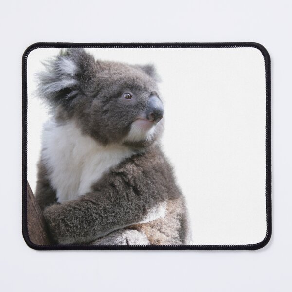 Item preview, Cute and Cuddly Koala   designed and sold by Surfing Designs.Life.